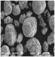 星空官方網(wǎng)頁版