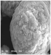星空官方網(wǎng)頁版